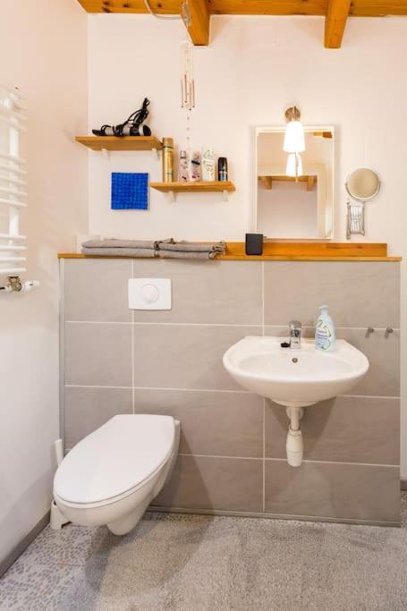 Apartment Wilhelmstr Fuer Bis Zu 3 Personen Брюль Екстер'єр фото